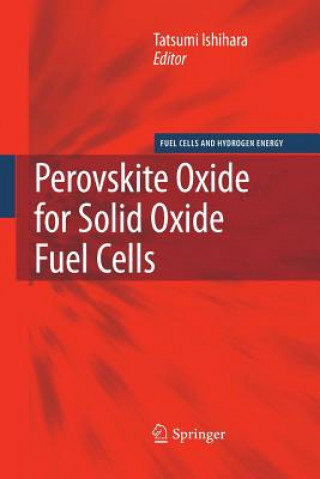 Книга Perovskite Oxide for Solid Oxide Fuel Cells Tatsumi Ishihara