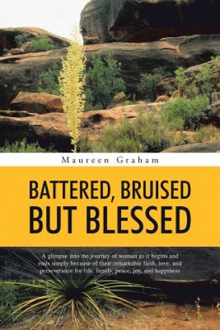 Buch Battered, Bruised But Blessed Maureen Graham