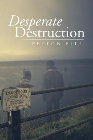 Buch Desperate Destruction Peyton Pitt