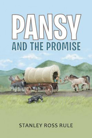 Könyv Pansy and the Promise Stanley Ross Rule