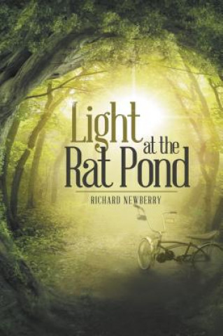 Kniha Light at the Rat Pond Richard Newberry