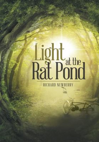 Kniha Light at the Rat Pond Richard Newberry