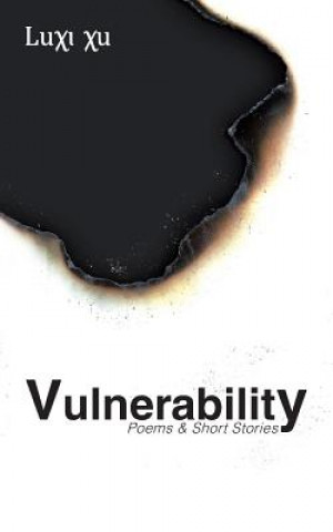 Könyv Vulnerability Luxi Xu