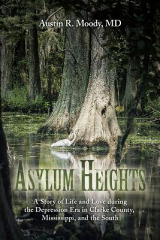 Kniha Asylum Heights MD Austin R Moody