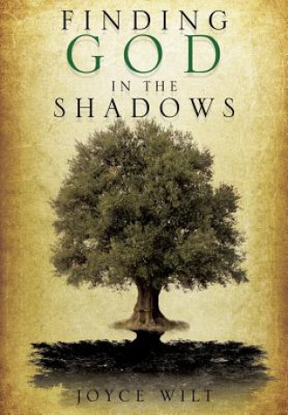 Livre Finding God in the Shadows Joyce Wilt