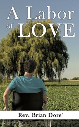 Könyv Labor of Love Rev Brian Dore'
