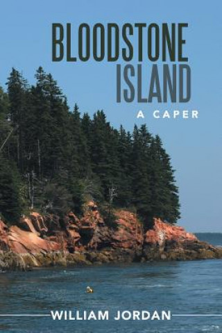 Книга Bloodstone Island Wiliam Jordan