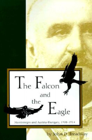 Book Falcon and the Eagle John D. Treadway