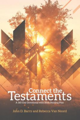 Buch Connect the Testaments Rebecca Van Noord