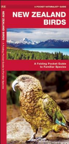 Knjiga New Zealand Birds James Kavanagh