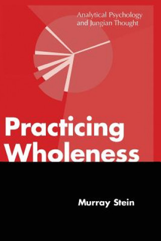 Kniha Practicing Wholeness Stein