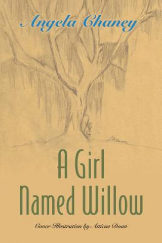 Kniha Girl Named Willow Angela Chaney