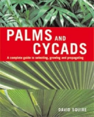 Könyv Palms and Cycads David Squire