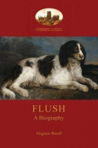 Könyv Flush Virginia Woolf