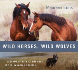 Könyv Wild Horses, Wild Wolves Maureen Enns