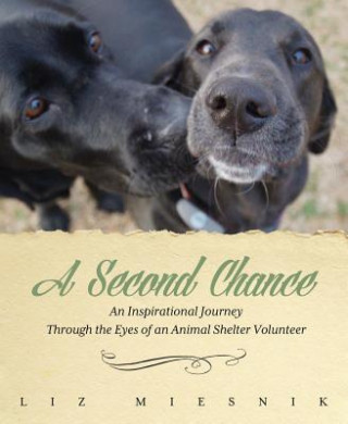 Knjiga Second Chance Liz Miesnik