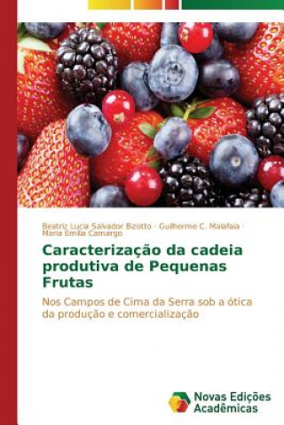 Kniha Caracterizacao da cadeia produtiva de Pequenas Frutas Camargo Maria Emilia