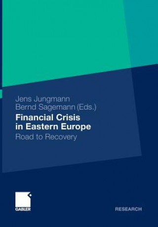 Kniha Financial Crisis in Eastern Europe Jens Jungmann