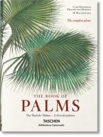 Könyv von Martius. The Book of Palms H WALTER LACK