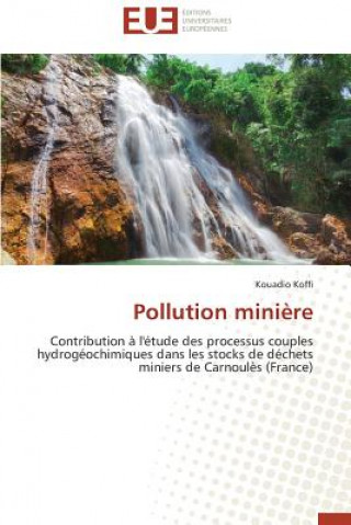 Book Pollution Mini re Koffi Kouadio
