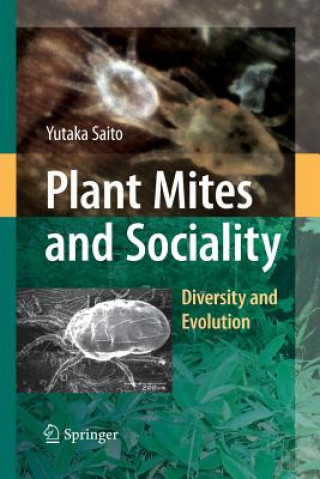 Książka Plant Mites and Sociality Yutaka Saito