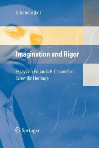 Book Imagination and Rigor Settimo Termini