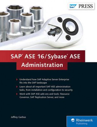 Kniha SAP ASE 16 / Sybase ASE Administration Jeffrey Garbus