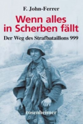 Buch Wenn alles in Scherben fällt F. John-Ferrer