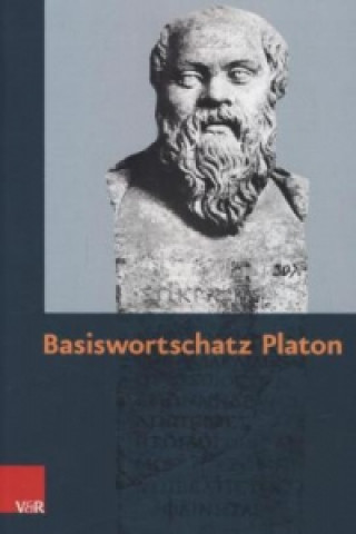 Kniha Basiswortschatz Platon Martin Holtermann