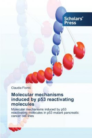 Książka Molecular mechanisms induced by p53 reactivating molecules Fiorini Claudia