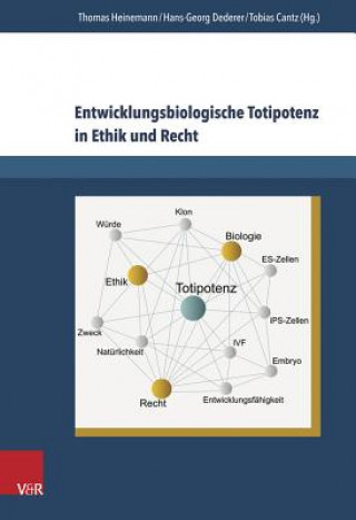 Książka Entwicklungsbiologische Totipotenz in Ethik und Recht Thomas Heinemann