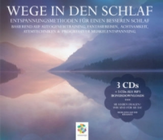 Audio Wege in den Schlaf, 3 Audio-CDs Irina Scholz