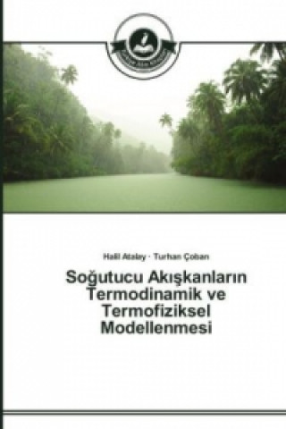 Könyv So&#287;utucu Ak&#305;&#351;kanlar&#305;n Termodinamik ve Termofiziksel Modellenmesi Halil Atalay