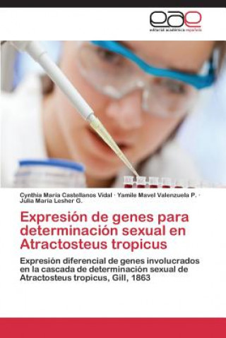 Книга Expresion de genes para determinacion sexual en Atractosteus tropicus Castellanos Vidal Cynthia Maria