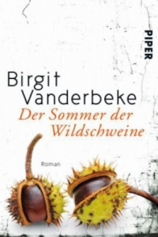 Book Der Sommer der Wildschweine Birgit Vanderbeke