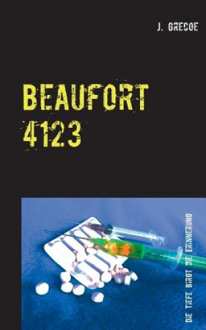 Carte Beaufort 4123 J Grecoe