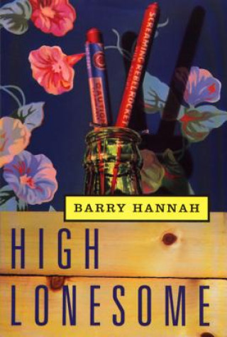 Kniha High Lonesome Barry Hannah