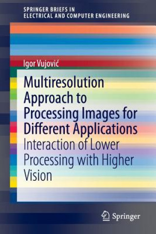 Könyv Multiresolution Approach to Processing Images for Different Applications Igor Vujovic