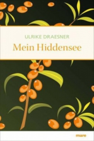 Könyv Mein Hiddensee Ulrike Draesner