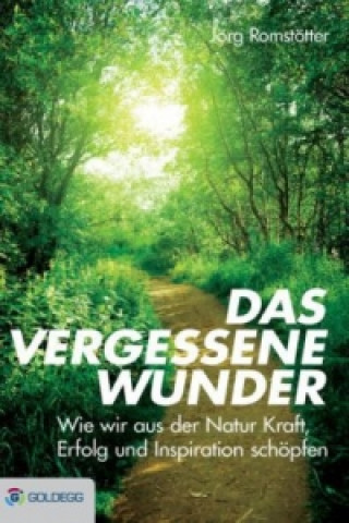 Buch Das vergessene Wunder Jörg Romstötter