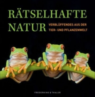 Kniha Rätselhafte Natur Rainer Köthe