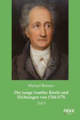 Książka Der junge Goethe: Briefe und Dichtungen von 1764-1776 Michael Bernays