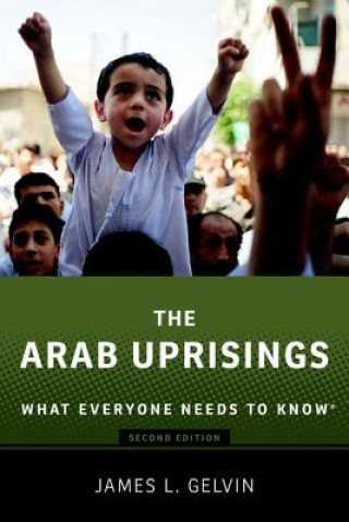 Kniha Arab Uprisings James L. Gelvin