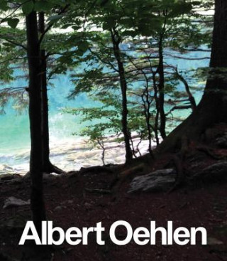 Libro Albert Oehlen Albert Oehlen