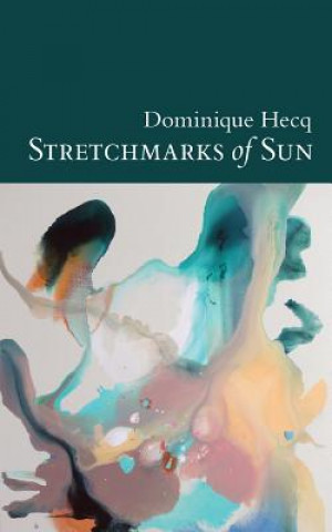 Könyv Stretchmarks of Sun Dominique Hecq