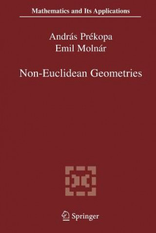 Könyv Non-Euclidean Geometries Emil Molnár