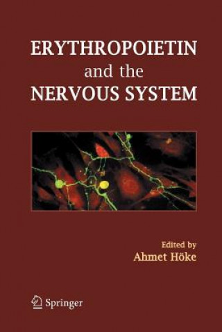 Kniha Erythropoietin and the Nervous System AHMET H KE