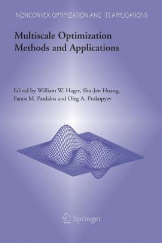 Kniha Multiscale Optimization Methods and Applications William W. Hager