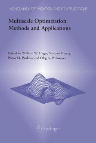 Książka Multiscale Optimization Methods and Applications William W. Hager