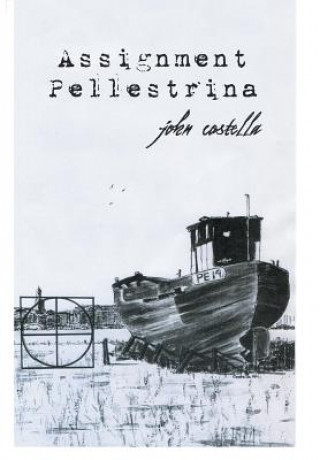 Kniha Assignment Pellestrina John Costella